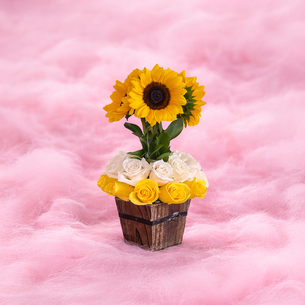 Sunny Roses