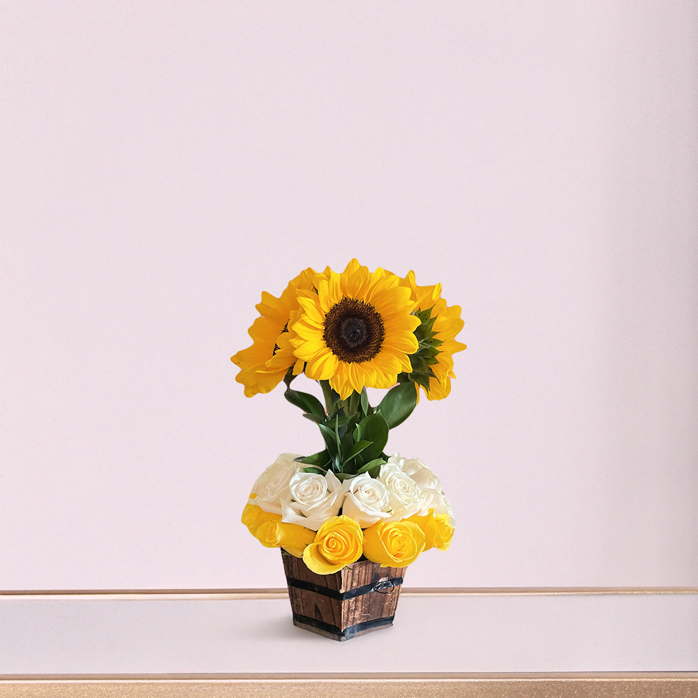 Sunny Roses
